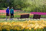 Commissioners Park_16081